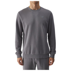 4F Ανδρικό φούτερ